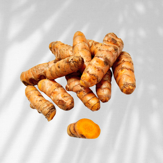 Fresh Turmeric Root