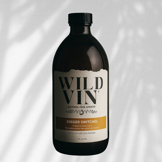 WildVin - Ginger Switchel